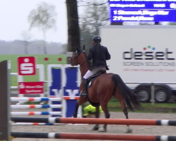 Reitturnier Elmlohe 2025