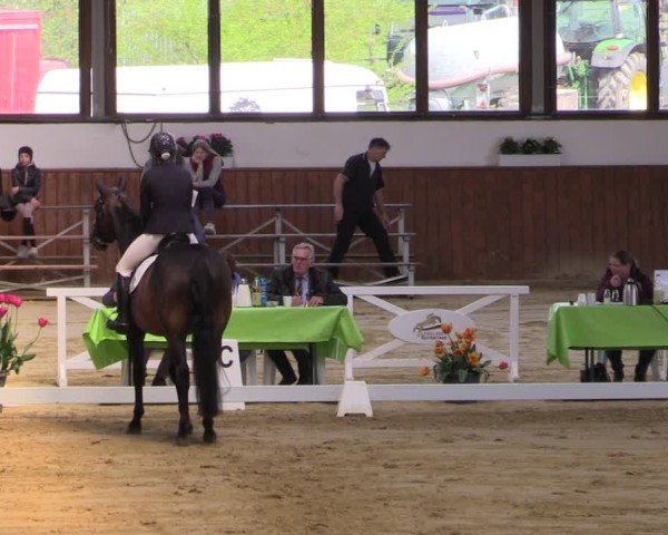 Reitturnier Werne-Lenklar 2025