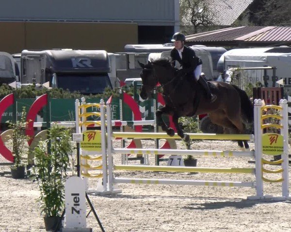 Reitturnier Sauldorf-Boll 2025