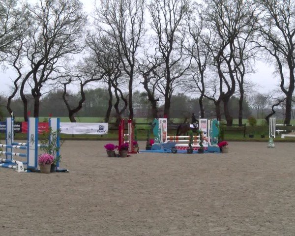 Reitturnier Elmlohe 2025