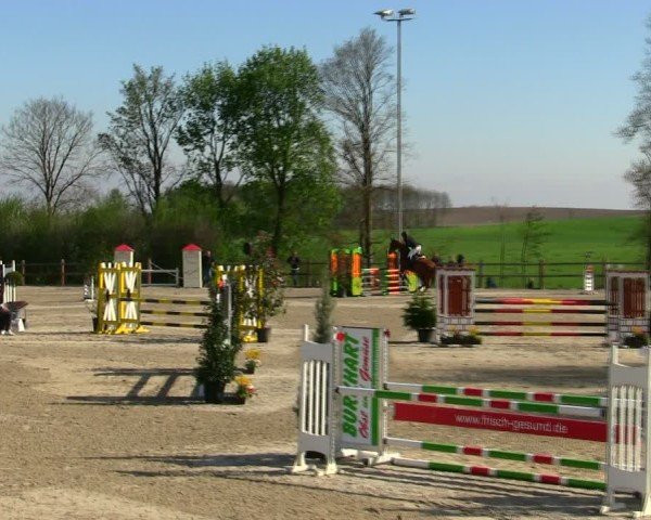 Reitturnier Pöttmes - Gut Sedlbrunn/Schw. 2025