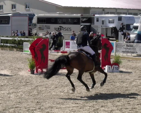 Reitturnier Sauldorf-Boll 2025