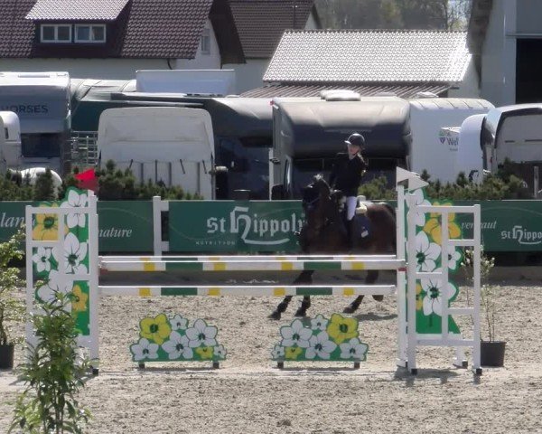 Reitturnier Sauldorf-Boll 2025
