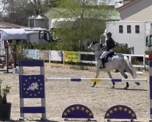 Reitturnier Sauldorf-Boll 2025
