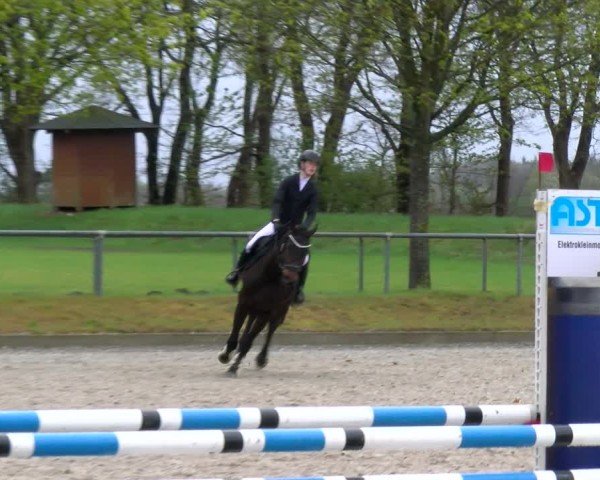 Reitturnier Elmlohe 2025