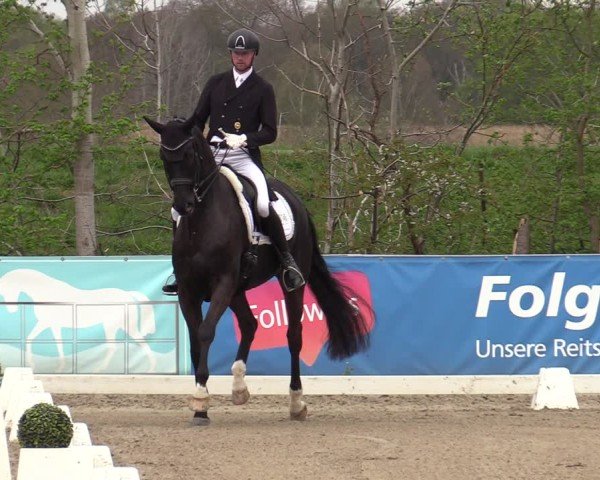 Reitturnier Scharnebeck 2025