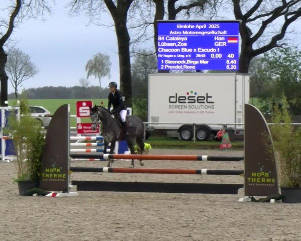 Reitturnier Elmlohe 2025