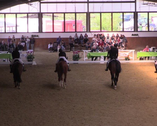 Lenklarer Reitertage Werne 2025