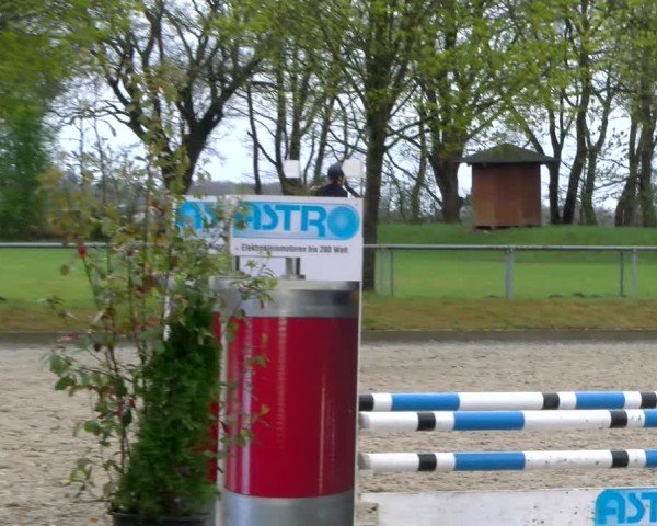 Reitturnier Elmlohe 2025