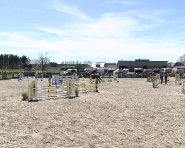Reitturnier Sauldorf-Boll 2025