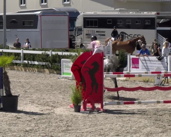 Reitturnier Sauldorf-Boll 2025