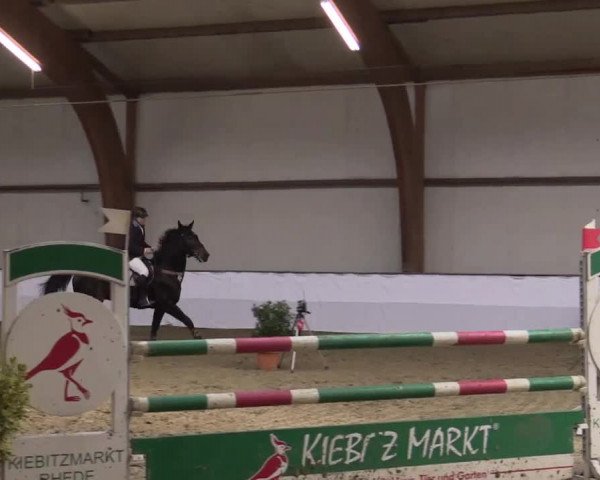Hallenspringturnier Barlo Bocholt 2014