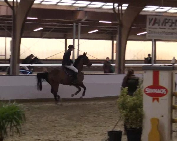 Hallenspringturnier Barlo Bocholt 2014