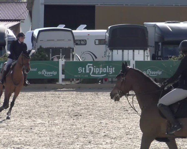 Reitturnier Sauldorf-Boll 2025