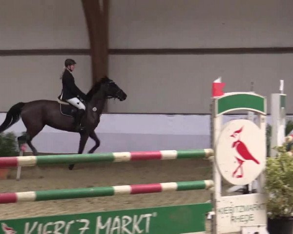 Hallenspringturnier Barlo Bocholt 2014