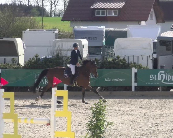 Reitturnier Sauldorf-Boll 2025