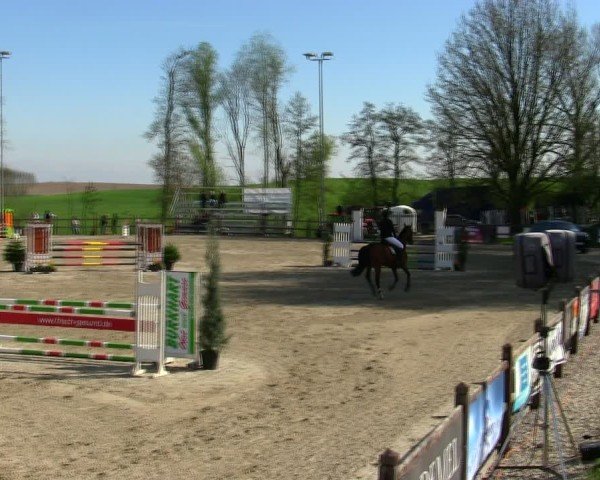 Reitturnier Pöttmes - Gut Sedlbrunn/Schw. 2025