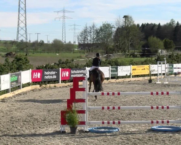 Reitturnier Sauldorf-Boll 2025