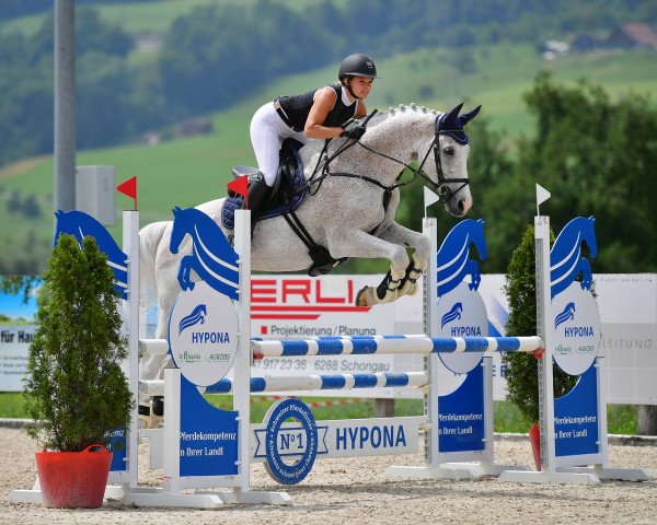 jumper For Italy Di Nicoletta (Italian Warmblood, 2008, from For Feeling)
