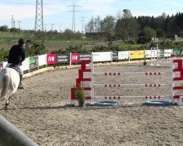 Reitturnier Sauldorf-Boll 2025