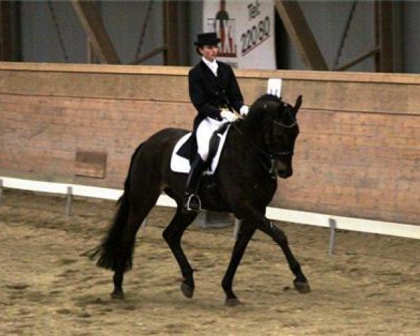 Dressurpferd Lennox (Westfale, 1999, von Laurentianer)