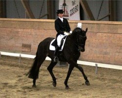 dressage horse Lennox (Westphalian, 1999, from Laurentianer)