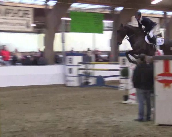 Hallenspringturnier Barlo Bocholt 2014