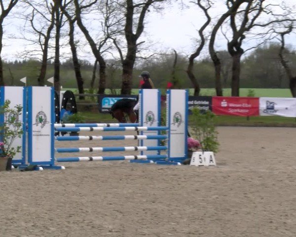 Reitturnier Elmlohe 2025