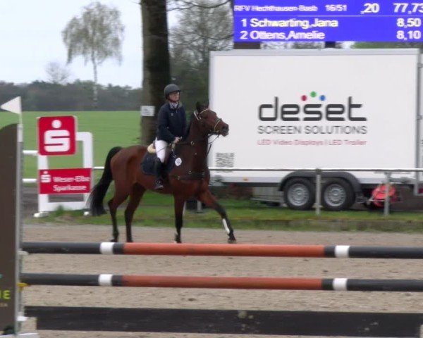 Reitturnier Elmlohe 2025