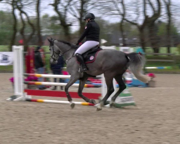 Reitturnier Elmlohe 2025