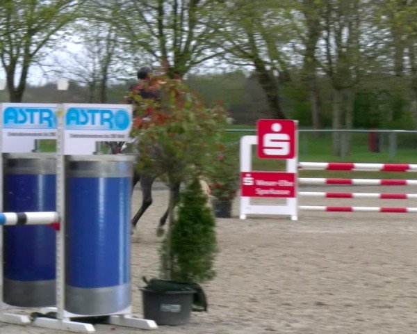 Reitturnier Elmlohe 2025