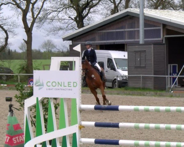 Reitturnier Elmlohe 2025