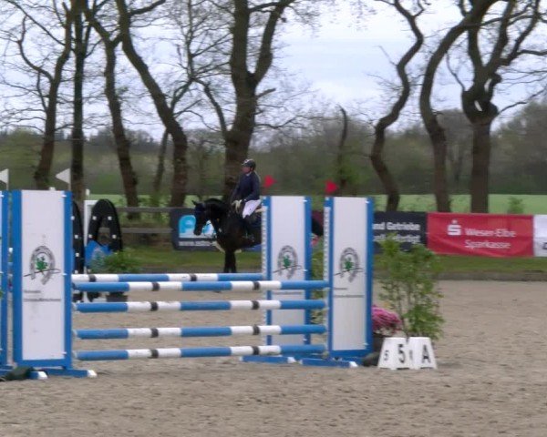Reitturnier Elmlohe 2025