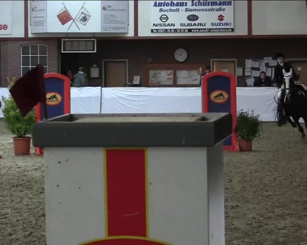 Hallenspringturnier Barlo Bocholt 2014