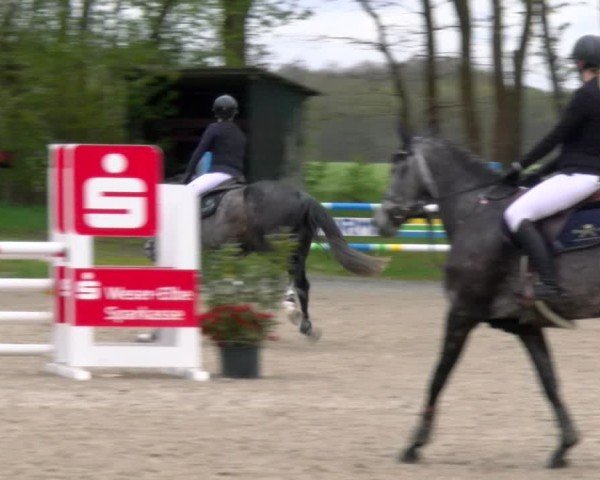 Reitturnier Elmlohe 2025