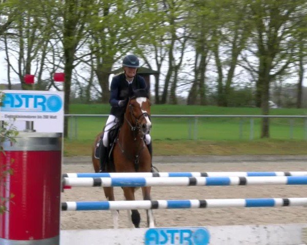 Reitturnier Elmlohe 2025
