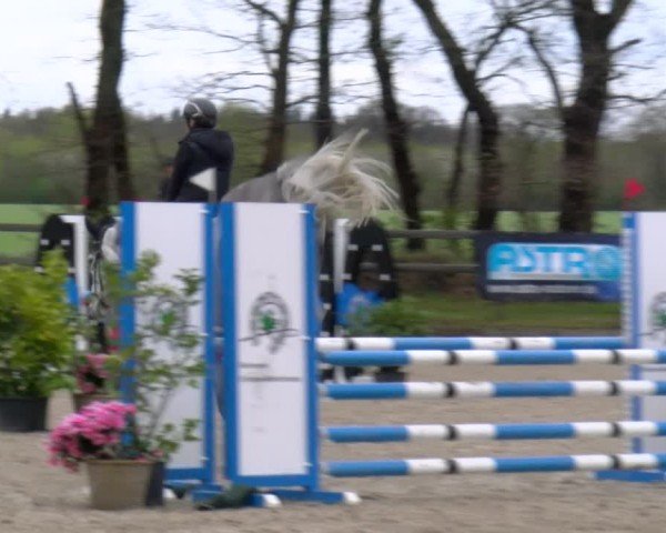 Reitturnier Elmlohe 2025