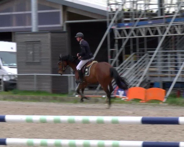 Reitturnier Elmlohe 2025