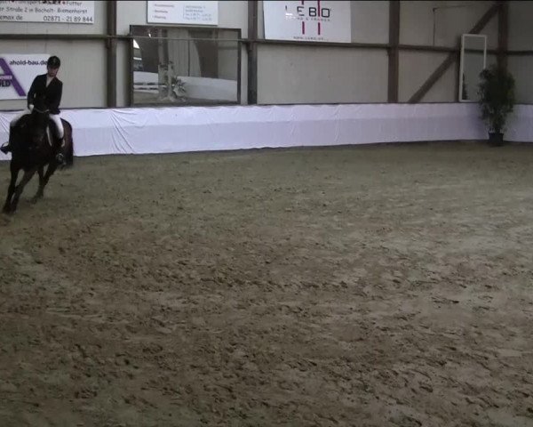 Hallenspringturnier Barlo Bocholt 2014