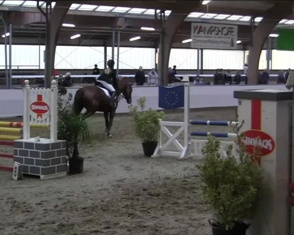 Hallenspringturnier Barlo Bocholt 2014