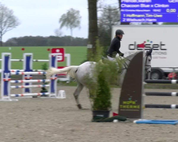 Reitturnier Elmlohe 2025