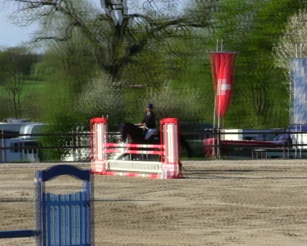 Reitturnier Pöttmes - Gut Sedlbrunn/Schw. 2025