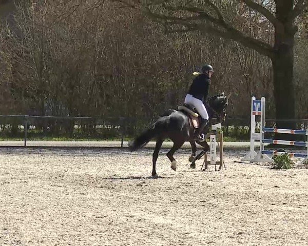 Reitturnier Rot am See- Musdorf 2025