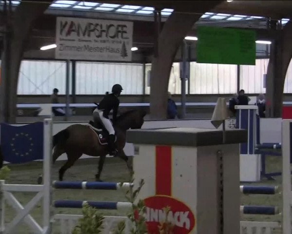 Hallenspringturnier Barlo Bocholt 2014