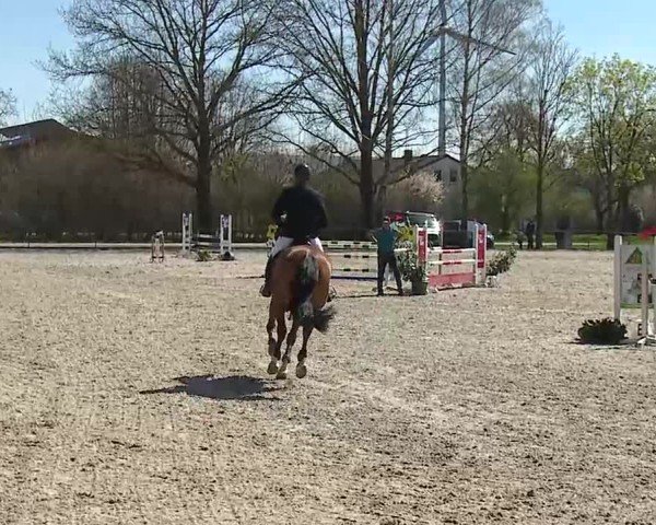 Reitturnier Rot am See- Musdorf 2025