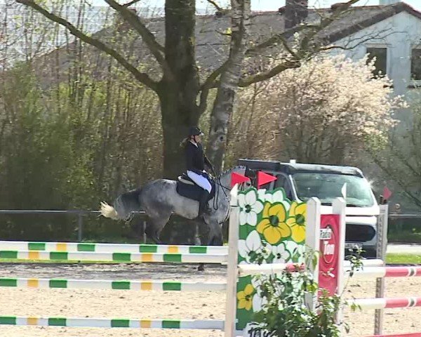 Reitturnier Rot am See- Musdorf 2025
