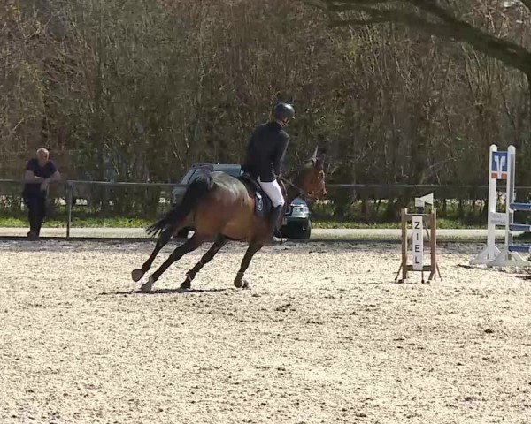 Reitturnier Rot am See- Musdorf 2025