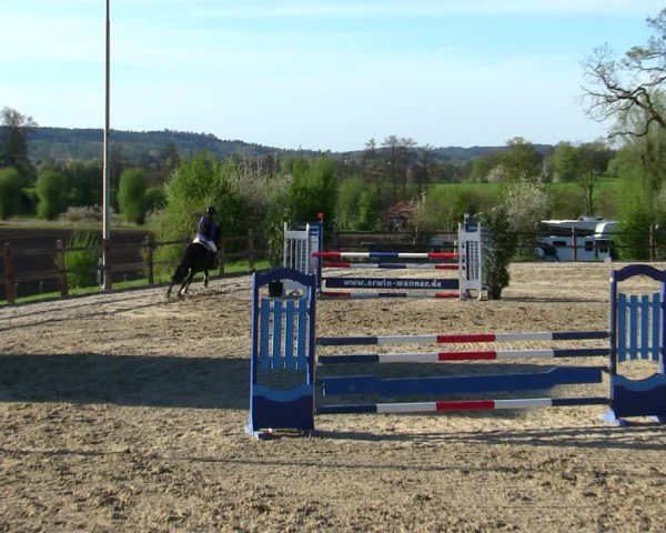 Reitturnier Pöttmes - Gut Sedlbrunn/Schw. 2025