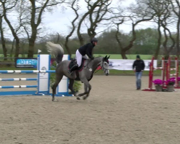 Reitturnier Elmlohe 2025