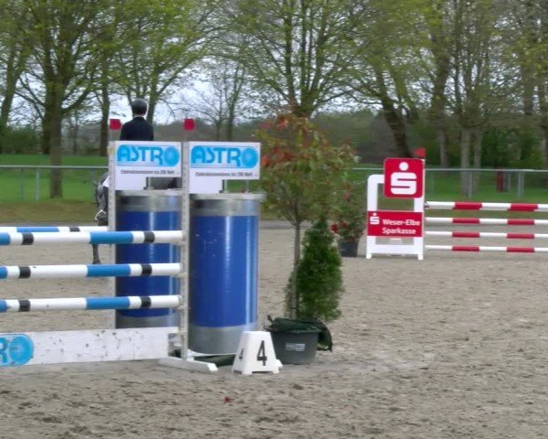 Reitturnier Elmlohe 2025